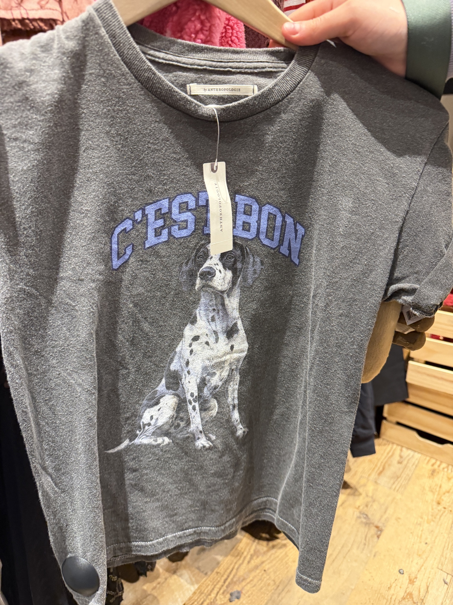 The cutest Dalmatian tee from Anthropologie
#AnthroFines #GraphicTee 

#LTKMidsize #LTKOver40 #LTKSaleAlert