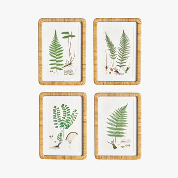 Forest Fern Framed Prints | Dear Keaton