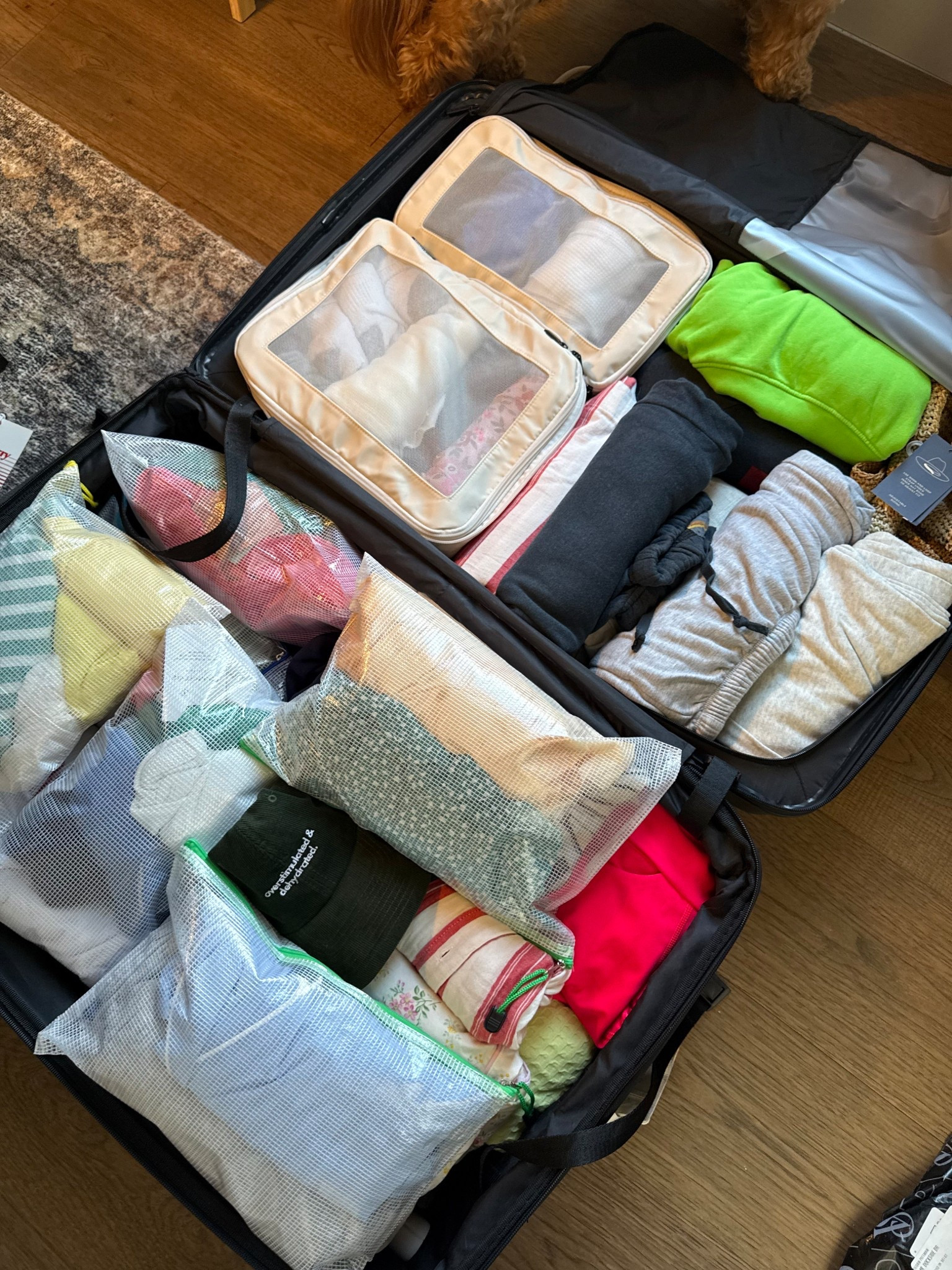 Packing organization for your suitcase ✈️

#LTKTravel #LTKdayinmylife #LTKmomlife