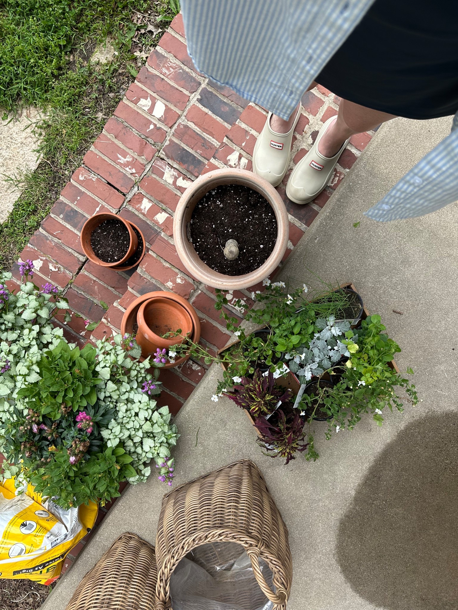 Comfiest clogs you will ever own 

#LTKSeasonal #LTKSaleAlert #LTKHome