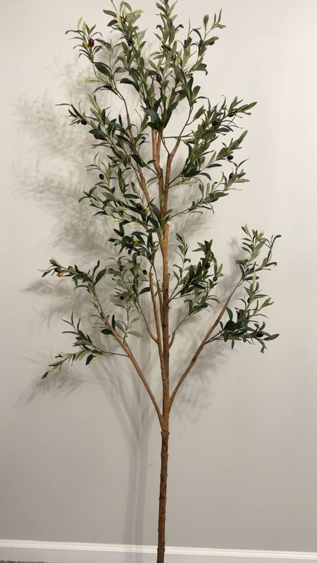 Affordable Olive Tree from @walmart

#LTKVideo #LTKhome #LTKfindsunder100