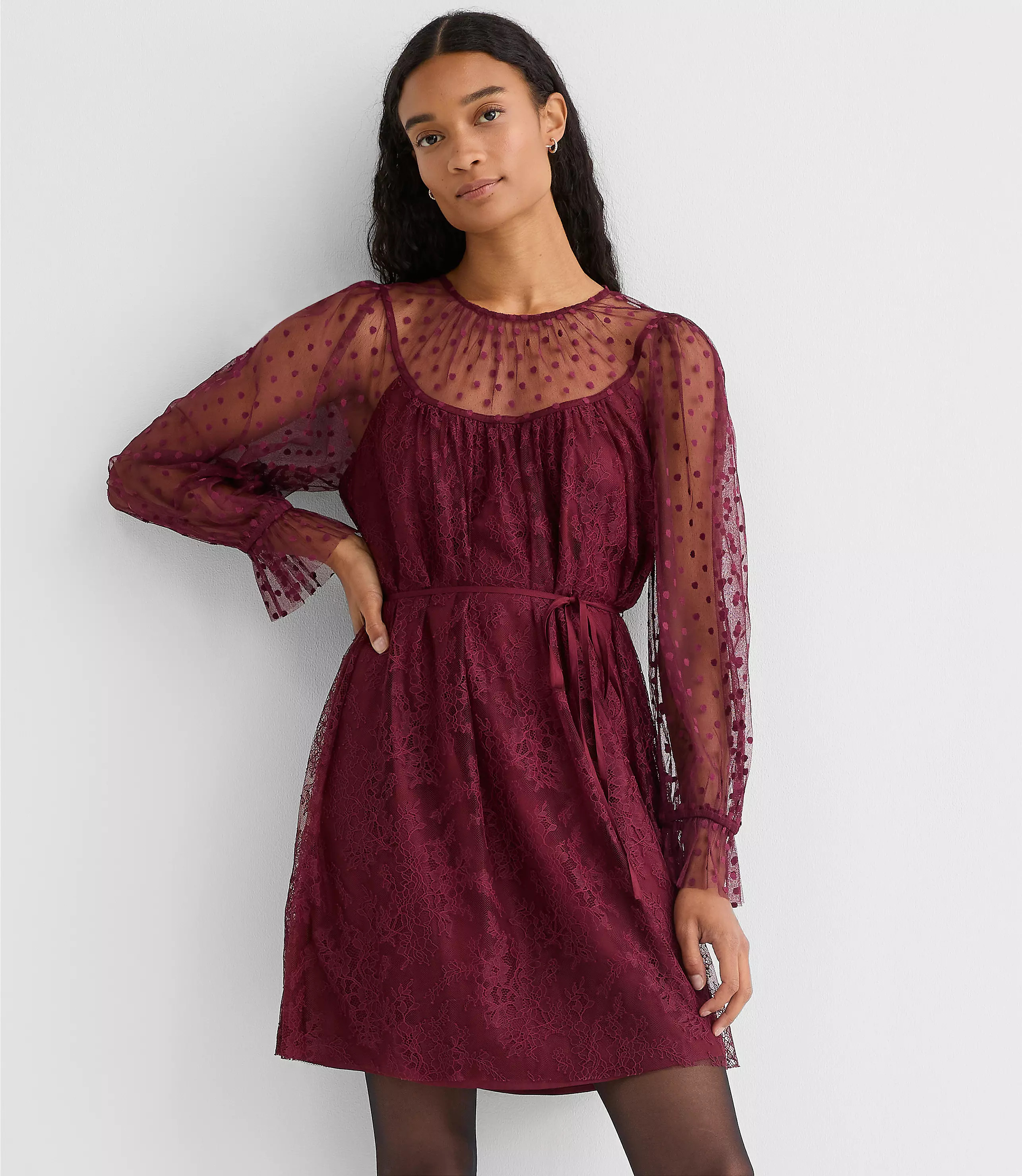 Dotted Chantilly Lace Mini Dress | LOFT