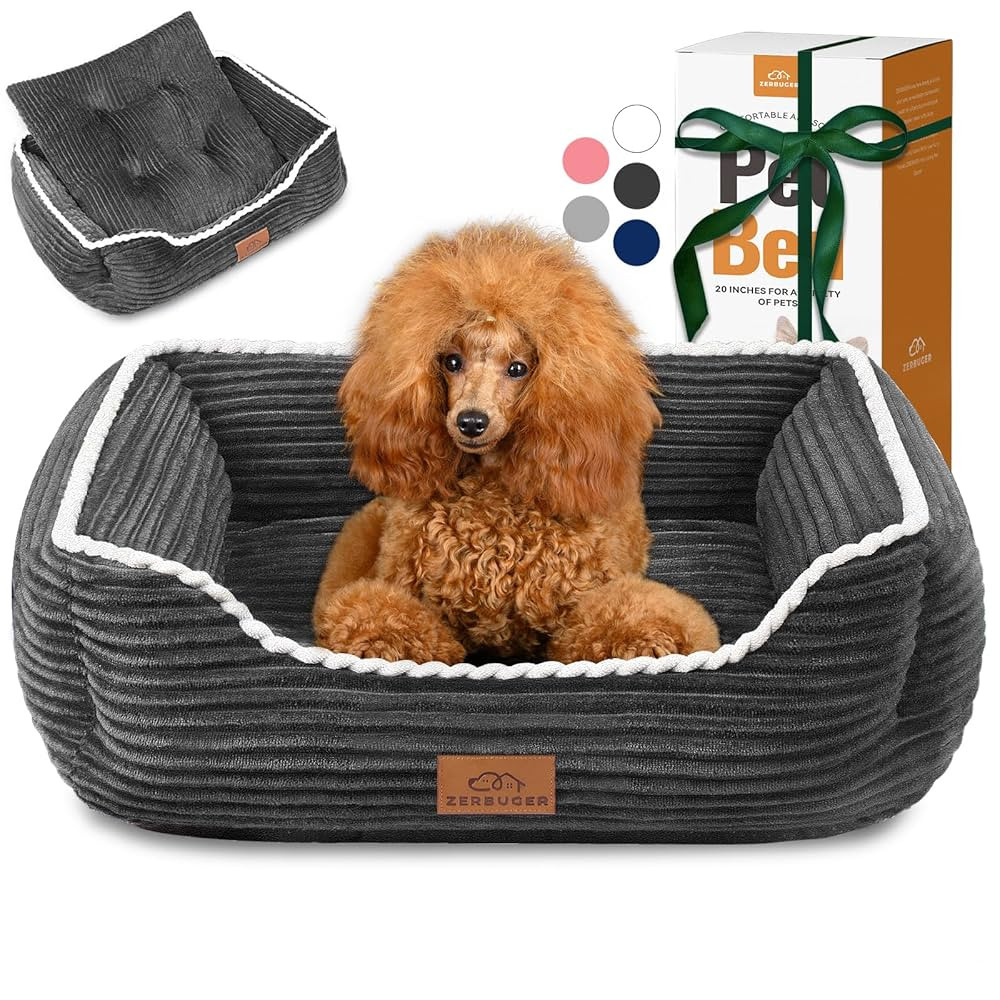Rectangle Cat Dog Bed for Large Medium Small Pets Indoor Outdoor Machine Washable Sleeping Sofa N... | Amazon (US)