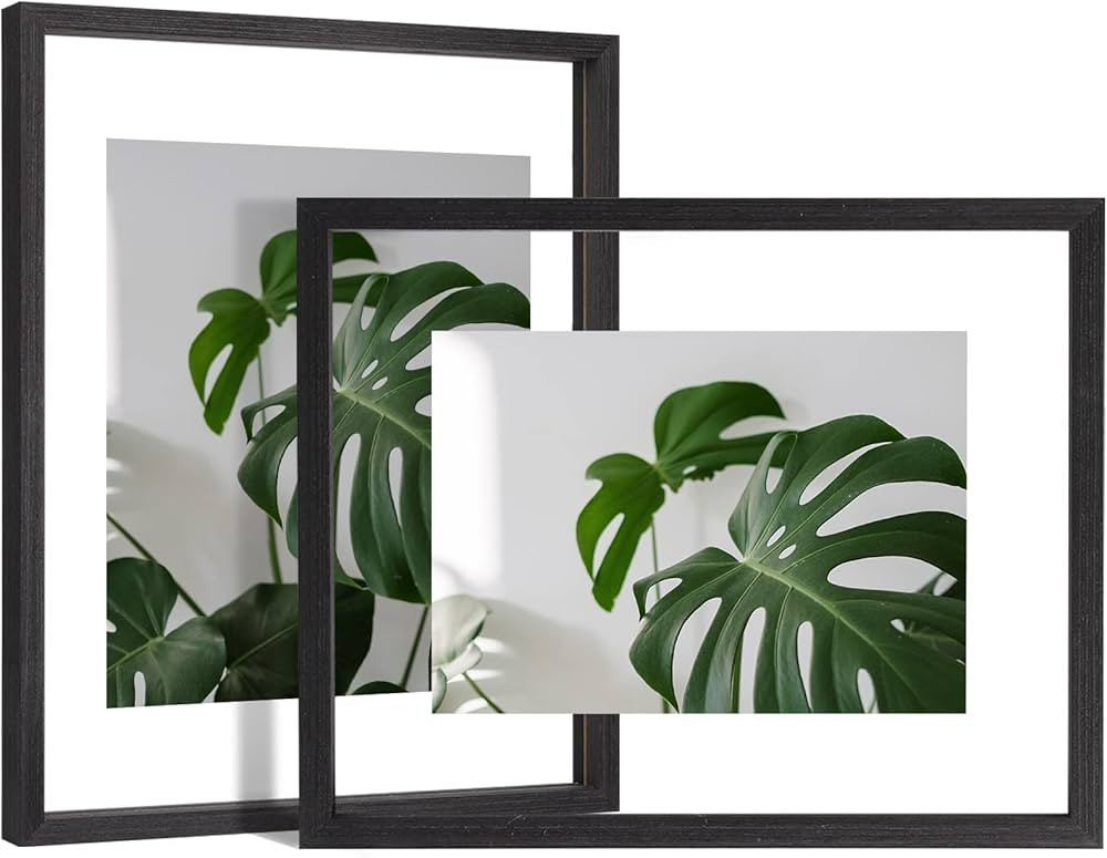 Egofine 11x14 Floating Frames Set of 2, Double Glass Picture Frame, Made of Solid Wood Display An... | Amazon (US)