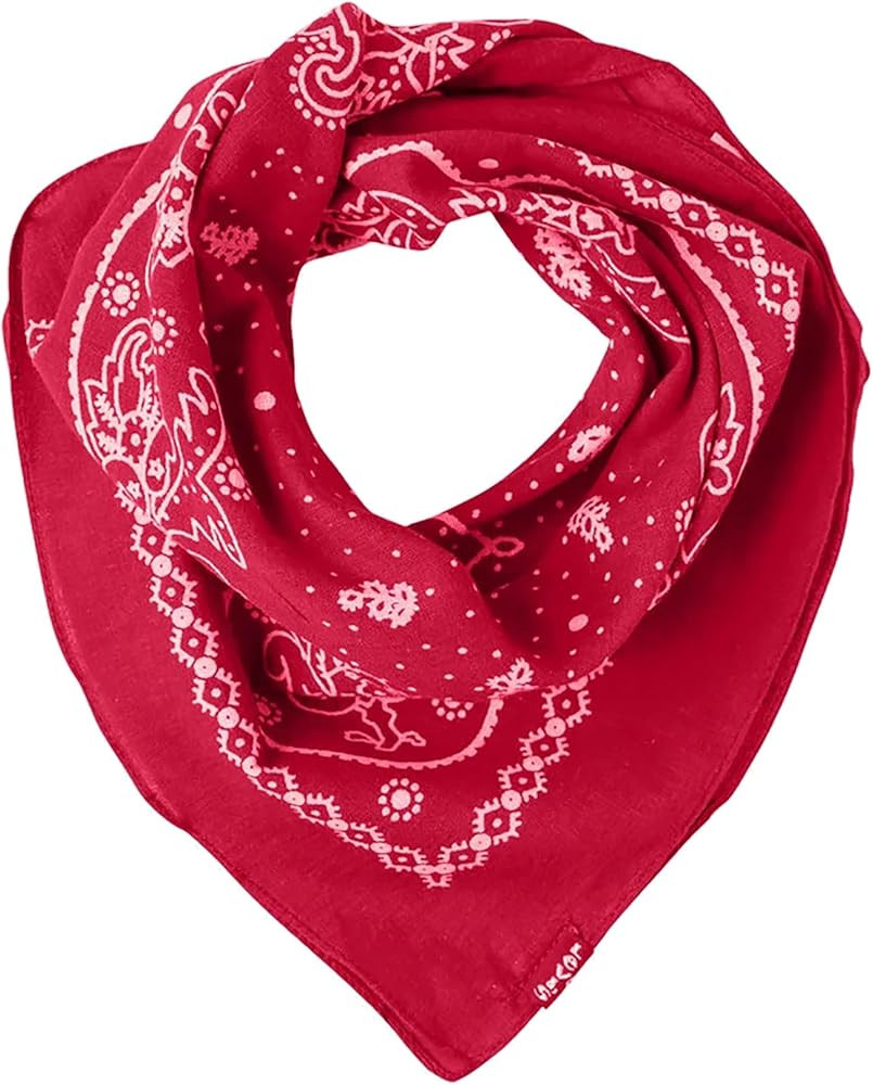 Levi's Paisley Bandana Scarf | Amazon (FR)
