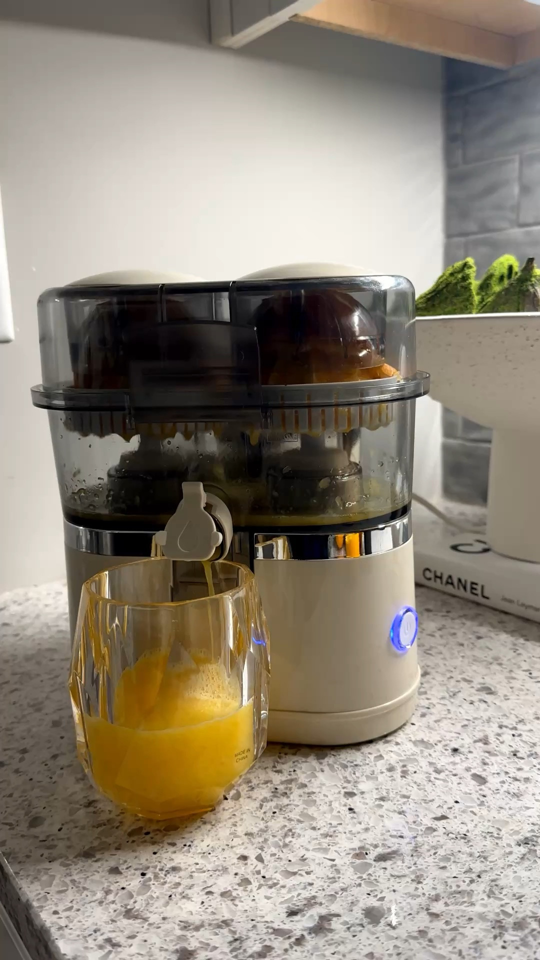 Electric citrus juicer 

#LTKmorningroutine #LTKSaleAlert #LTKselfcare