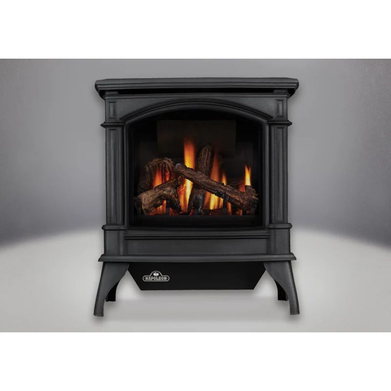 Napoleon GDS60-1NSB 35000 BTU Free Standing Direct Vent Natural Gas Stove with Safety Barrier and El | Build.com, Inc.