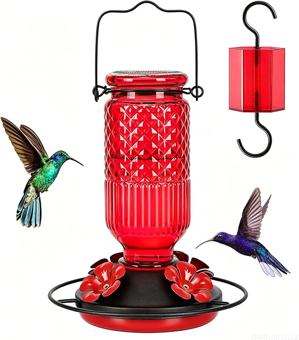 FEED GARDEN Glass Hummingbird Feeder, 16oz Outdoor Hanging Bird Feeder with Ant Moat, 4 Bee-Proof... | Amazon (US)
