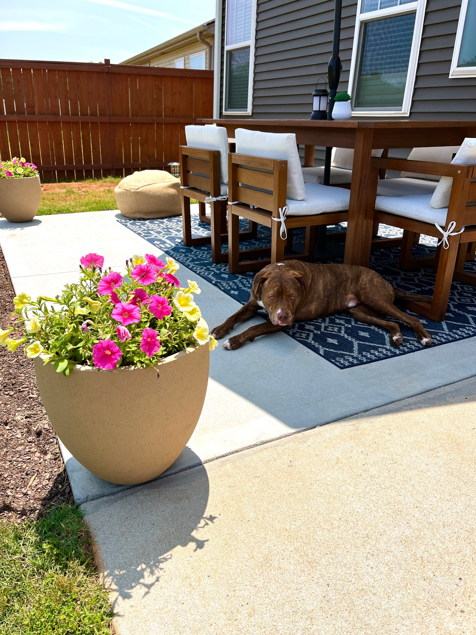 Patio Makeover

Lowes Planters - Allen + Roth
Target Outdoor Dining Table
Target Outdoor Dining Chairs 
Kaufmann Collection 

#LTKhome #LTKstyletip #LTKSeasonal