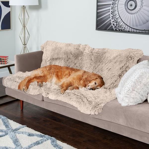 FURHAVEN Polyester Long Fur & Velvet Dog Blanket, Taupe, X-Large - Chewy.com | Chewy.com