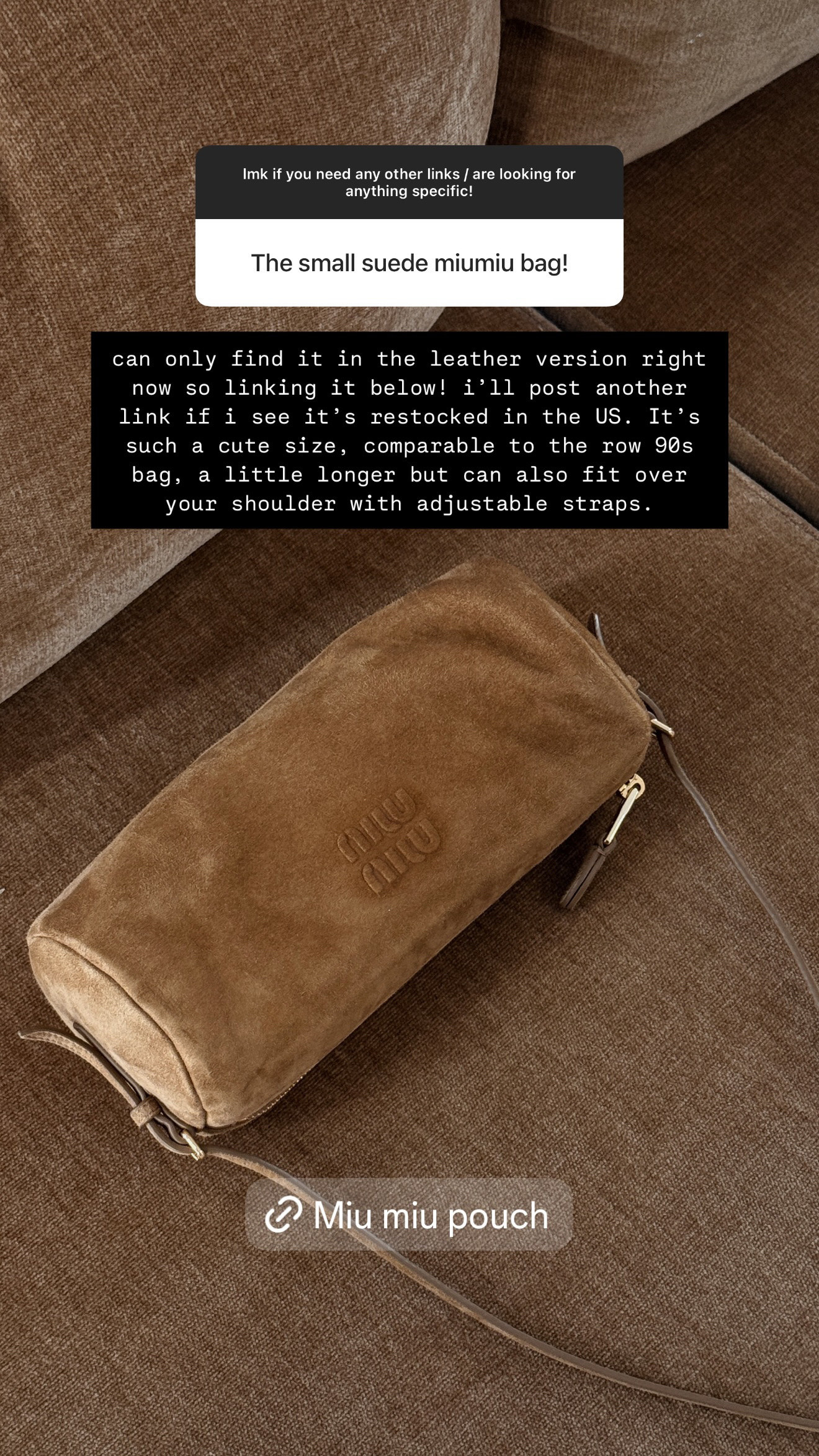 Miu Miu Suede Pouch

#LTKGiftGuide #LTKItBag