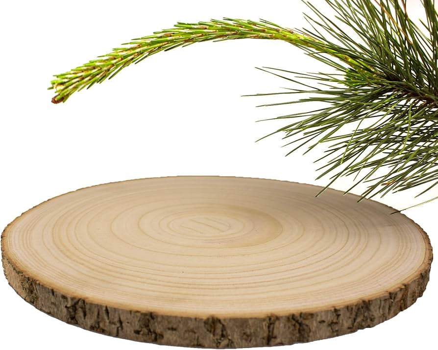 Natural Wood Slices 1 Pcs 8-9 Inches Large Wood Slices for Centerpieces Unfinished Wood Rounds fo... | Amazon (US)