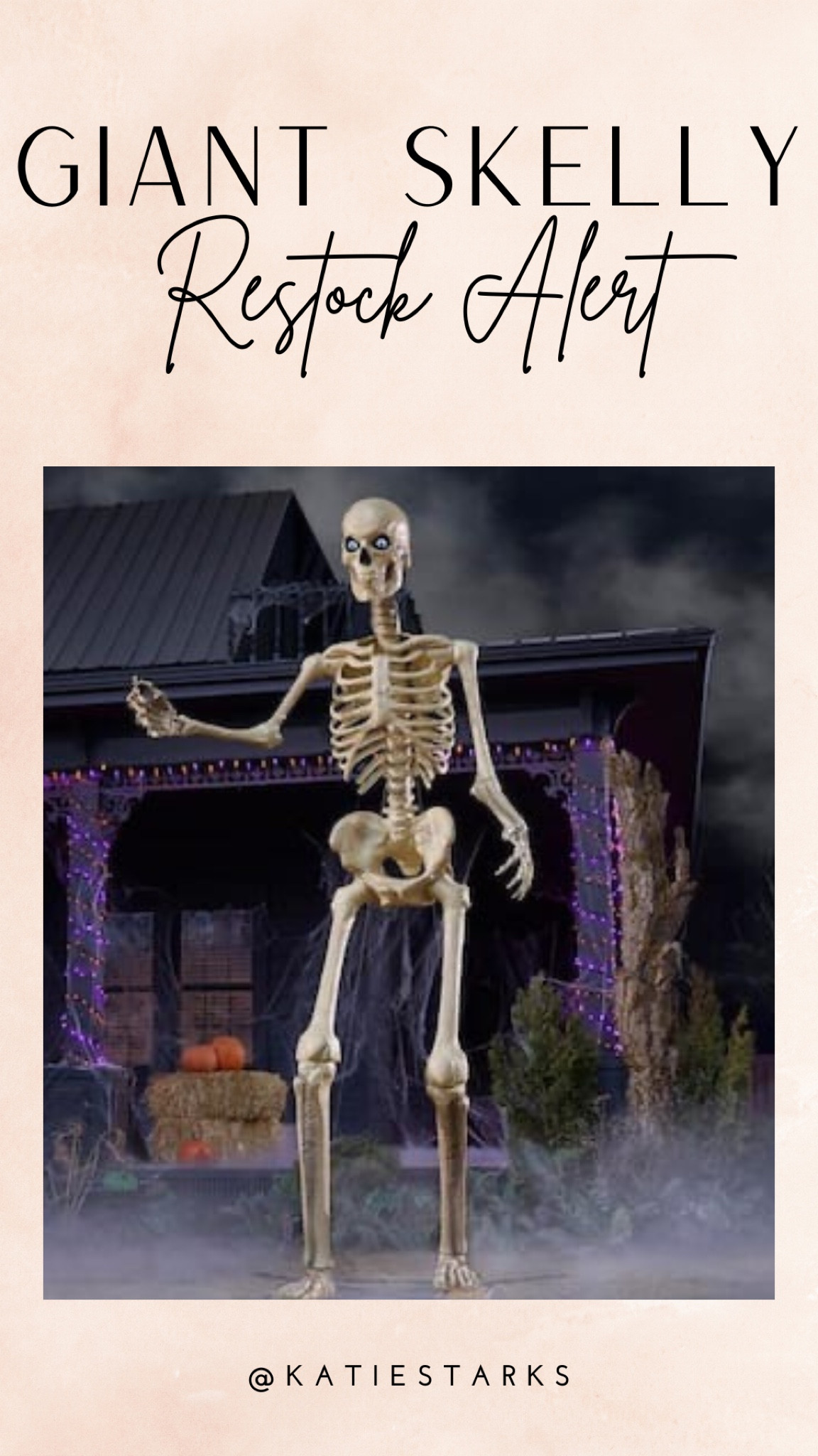 Viral giant skeleton restocked in limited quantities! 

Halloween decor - spooky season 

#LTKSeasonal #LTKHome