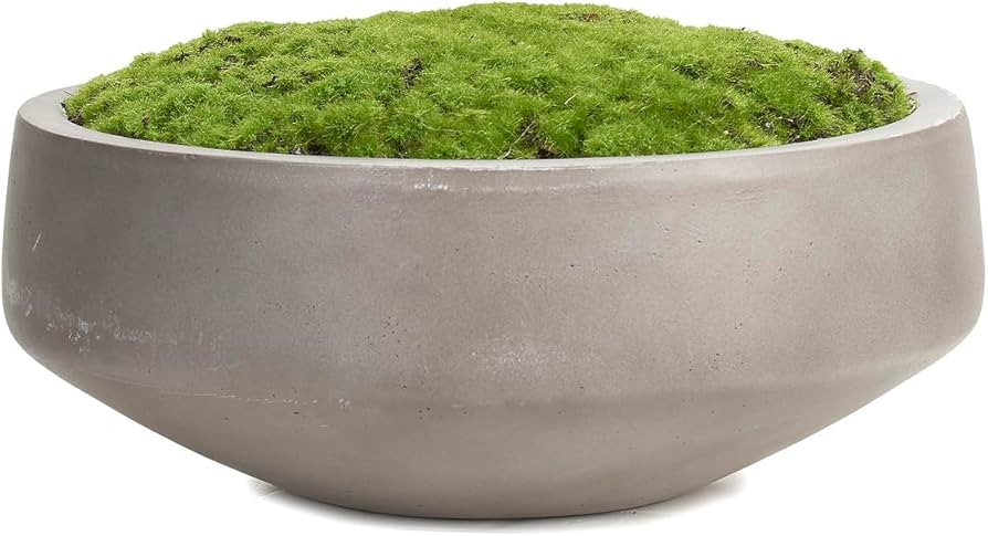 D&W Silks Moss Batting in Cement Dish | Amazon (US)