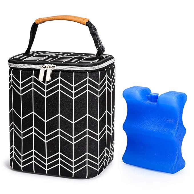 BABEYER BreastMilk Cooler Bag with Ice Pack Fits 4 Baby Bottles Up to 9 Ounce, Baby Bottle Bag Fi... | Amazon (US)
