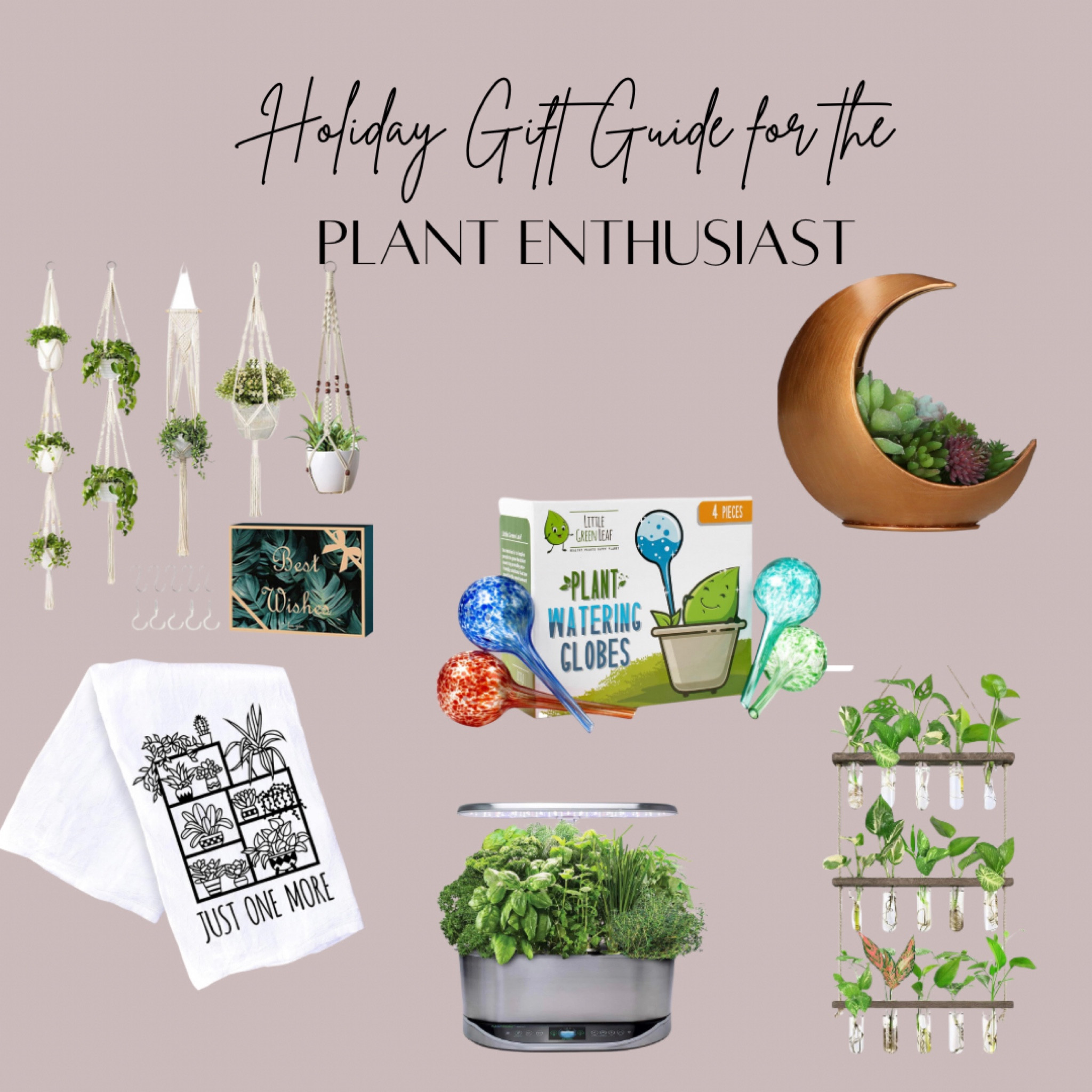 Holiday gift guide for the plant enthusiast!

#LTKHoliday #LTKSeasonal #LTKGiftGuide