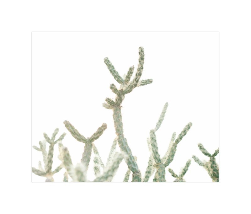 "the rising" - Photography Limited Edition Art Print by Kristi Jackson. | Minted