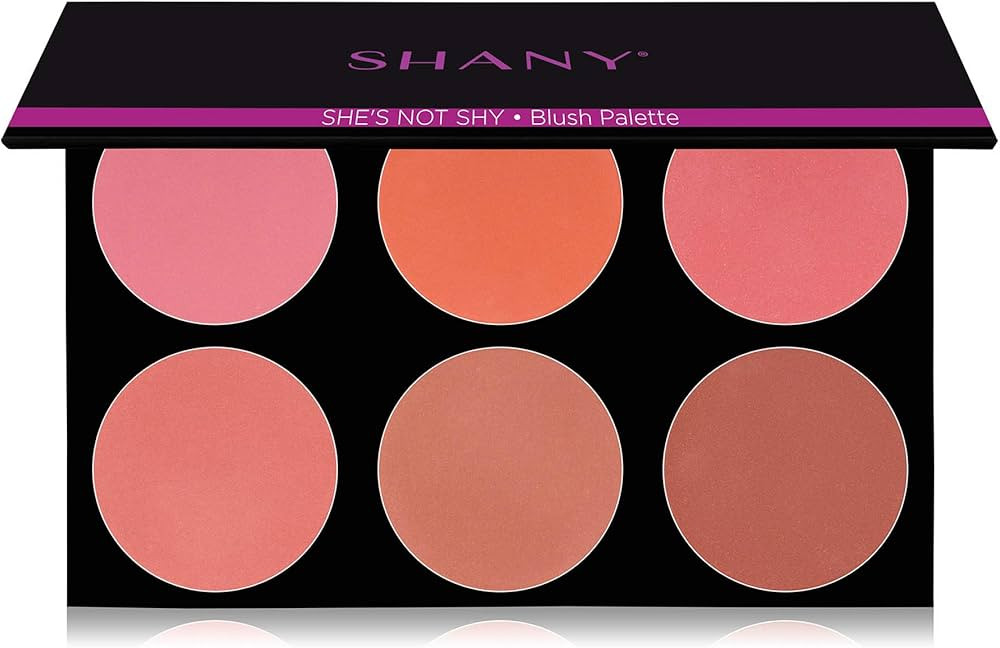 SHANY The Masterpiece 6 Colors Large Makeup Blush Palette - SHE'S NOT SHY | Amazon (US)