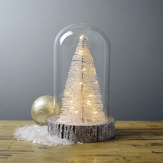 Martha Stewart Lighted White Christmas Tree in Glass Cloche, Warm White Lights | Amazon (US)