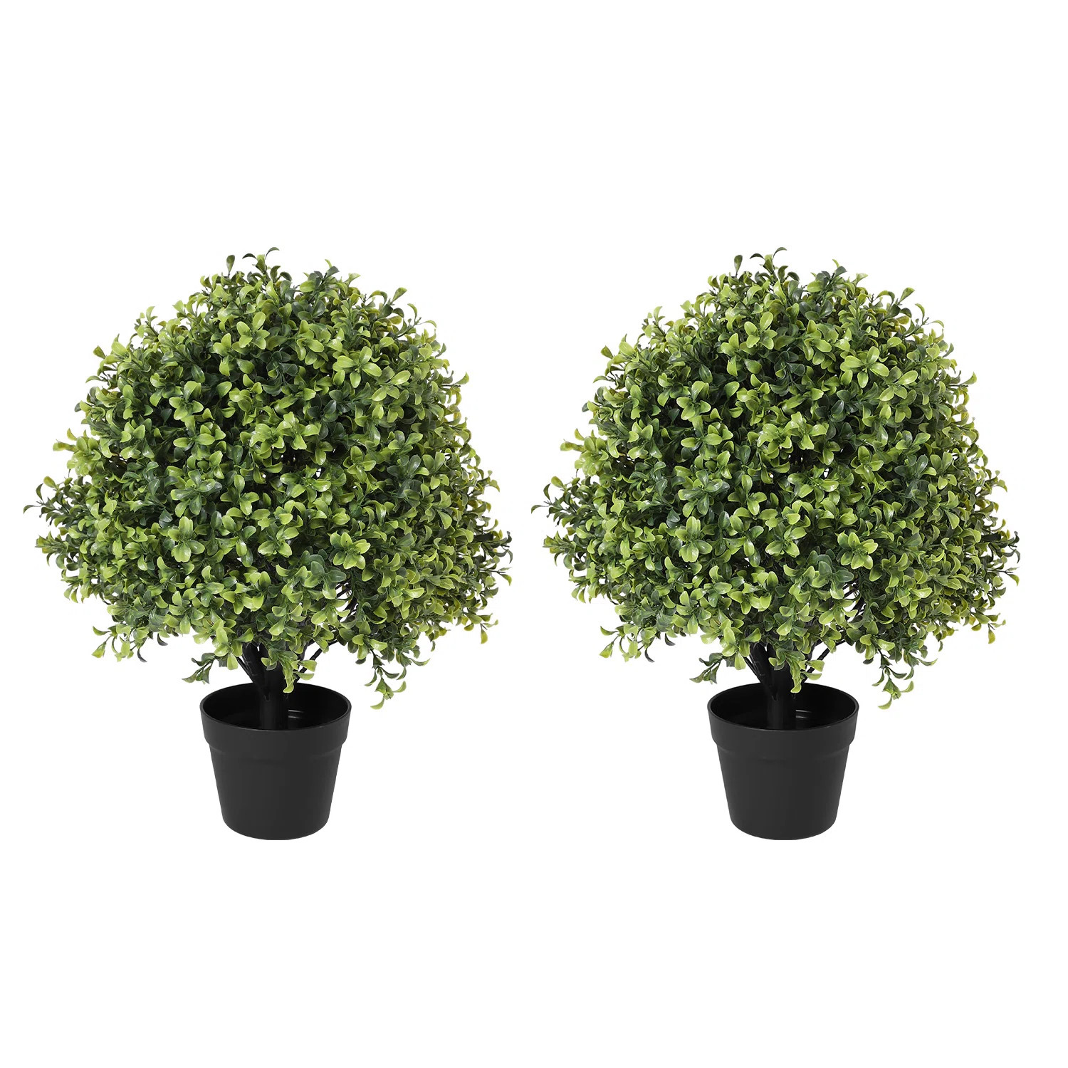 Primrue Grote 24-Inch Indoor or Outdoor Faux Boxwood Topiary in Pot & Reviews | Wayfair | Wayfair North America