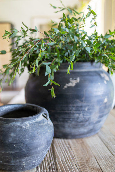 Vintage Four Handles Water Pot | Scout & Nimble
