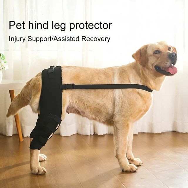 Fusipu Soft Texture Pet Gear for Walking Pet Protective Gear for Elderly Pets | Walmart (US)