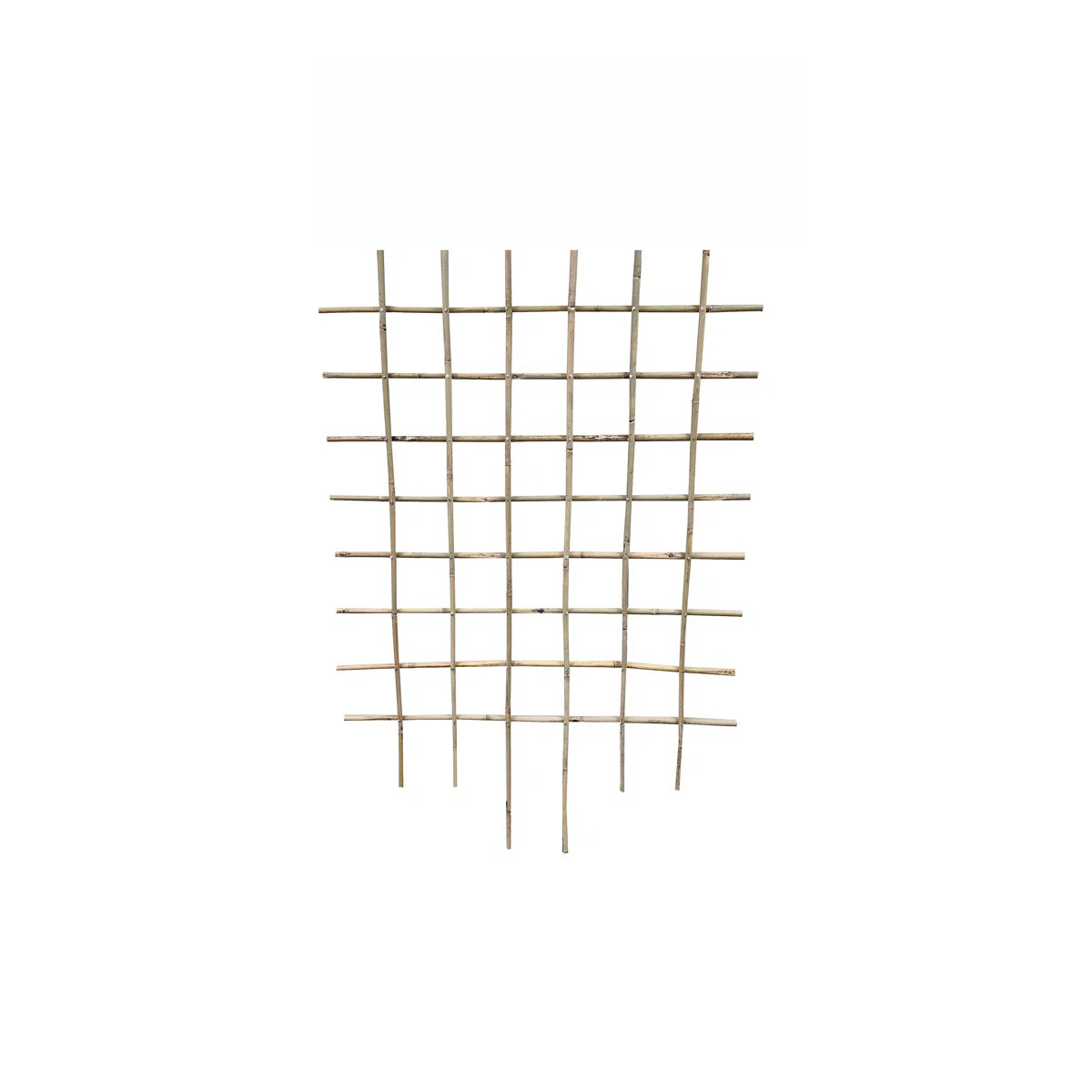 Wood Trellis | Wayfair North America