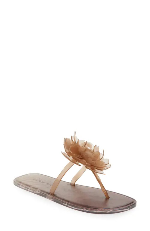 FARM Rio Flower Jelly Flip Flop in Toffee And Walnut at Nordstrom, Size 8-9 | Nordstrom