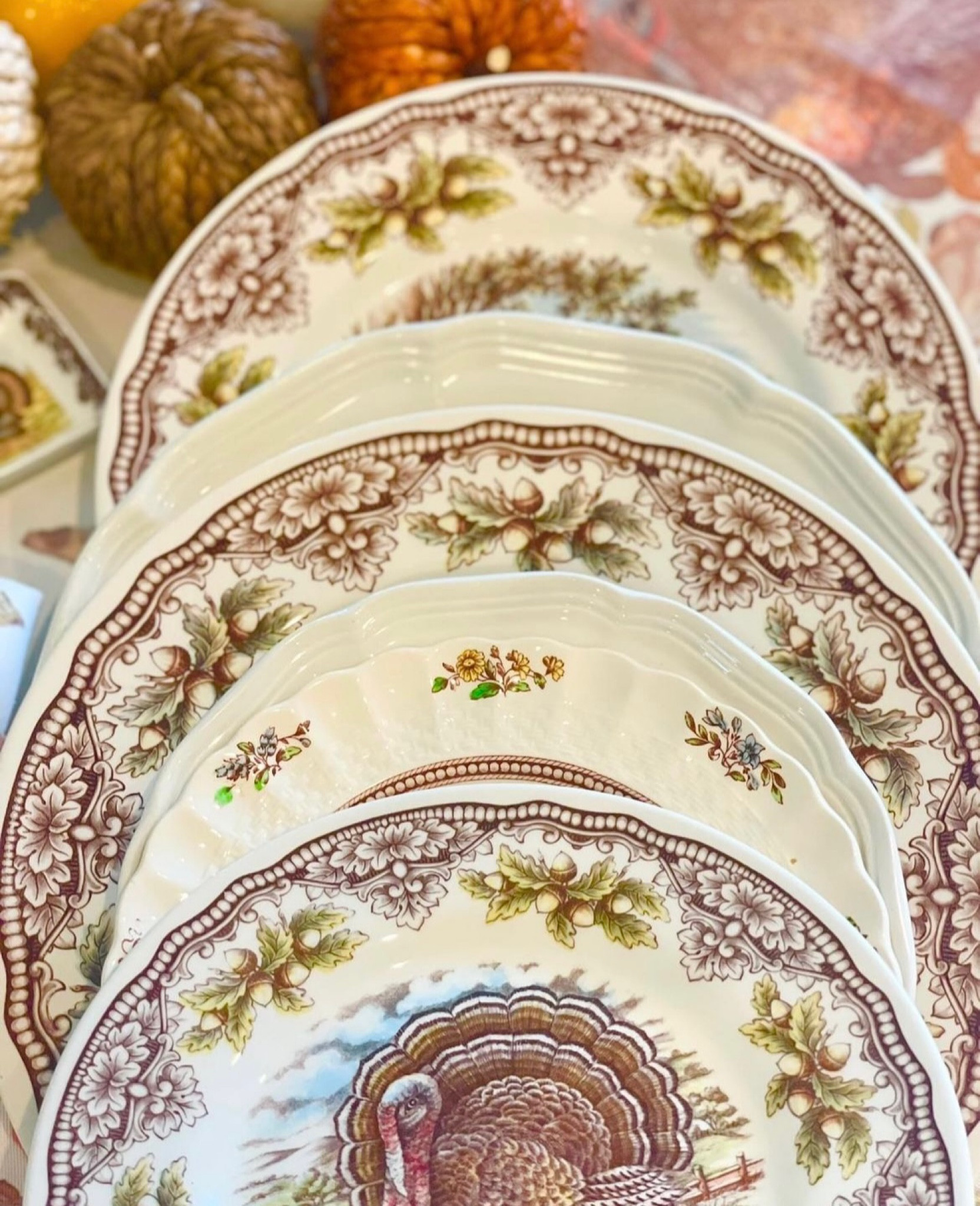 Shop beautiful fall dishes and collections to delight!

#LTKFind #LTKSeasonal