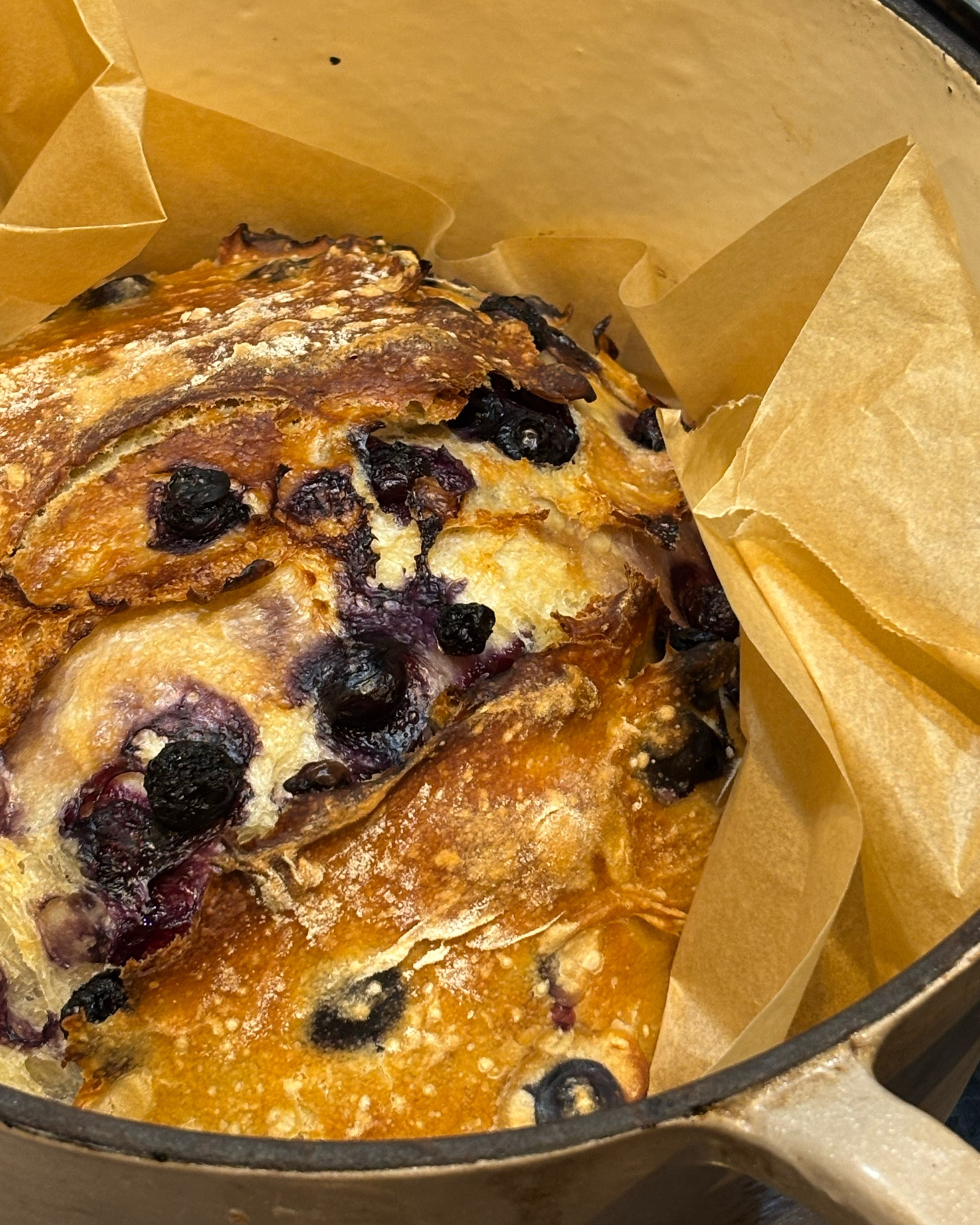 So happy with how this blueberry loaf turned out that it deserved a spot on the feed 🫐

It’s been so fun experimenting with this base recipe and inclusions; cinnamon swirl, bacon/green onion/cheddar/, pepperoni/mozzarella, and this blueberry one!

#LTKfoodie #LTKHome #LTKdayinmylife