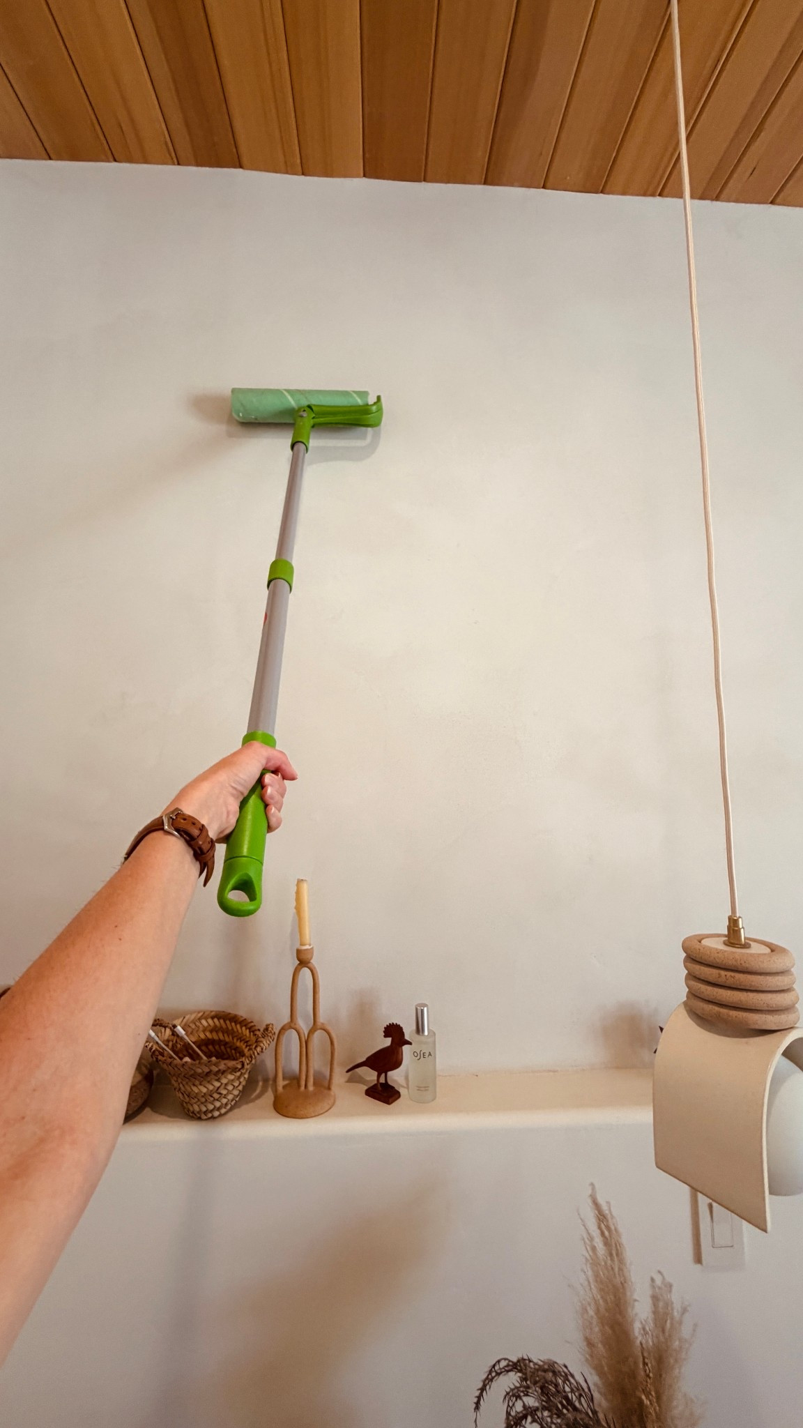 Love this for dusting the walls, removing and dust and lint from the beds and sofas too! 