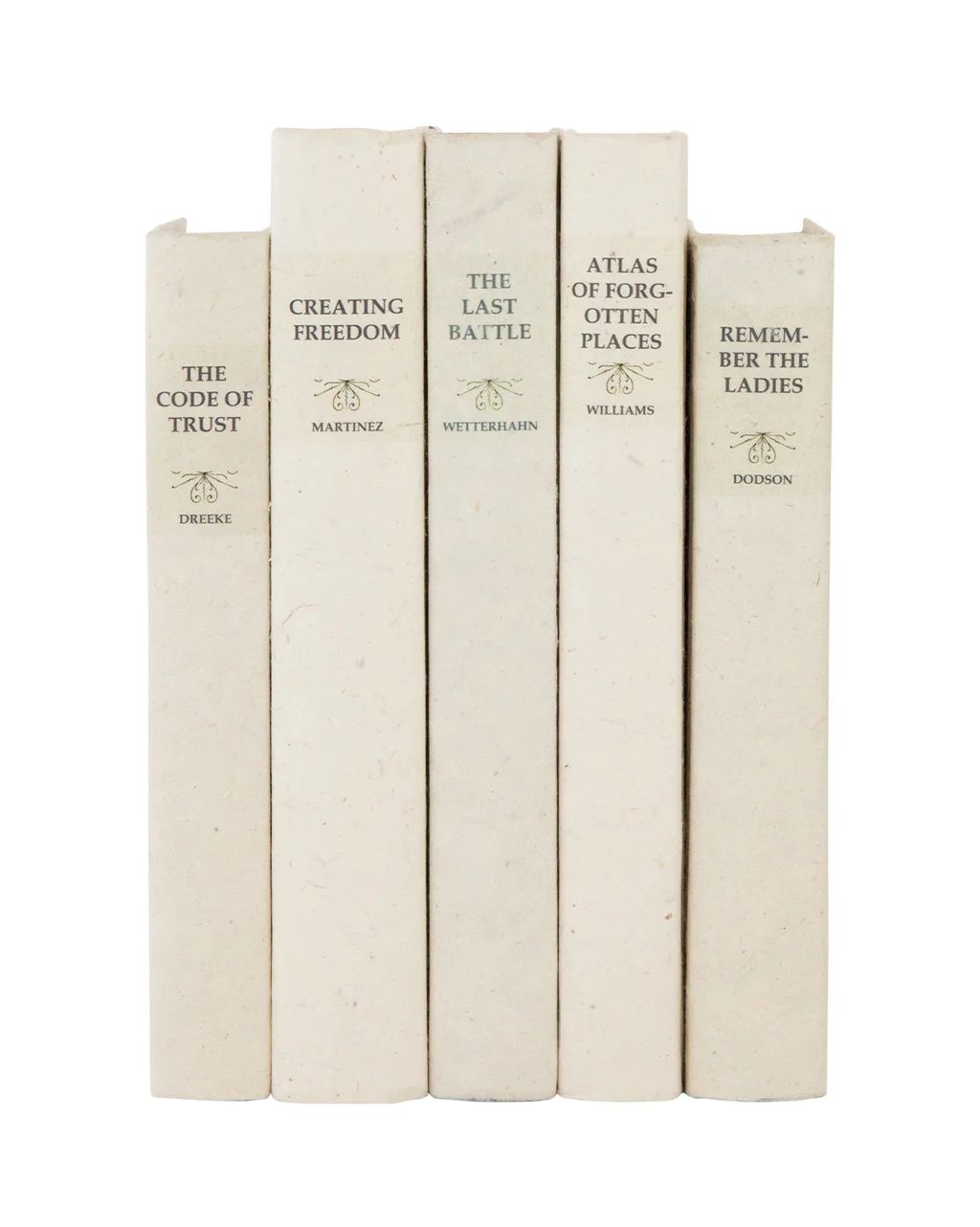 Parchment Books (Set of 5) | McGee & Co.