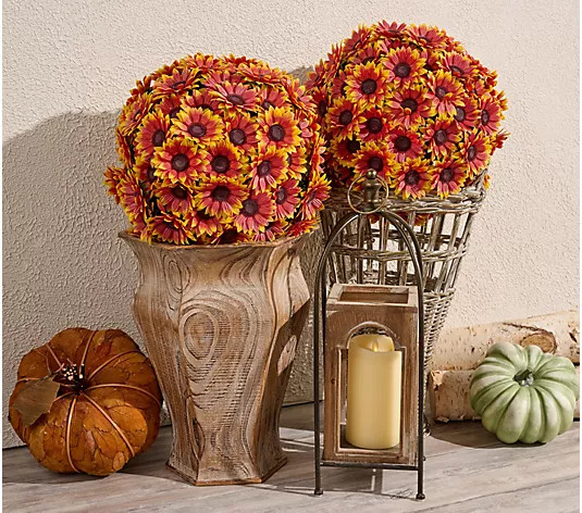 Wicker Park S/2 Oversized Golden Sunflower Spheres - QVC.com | QVC