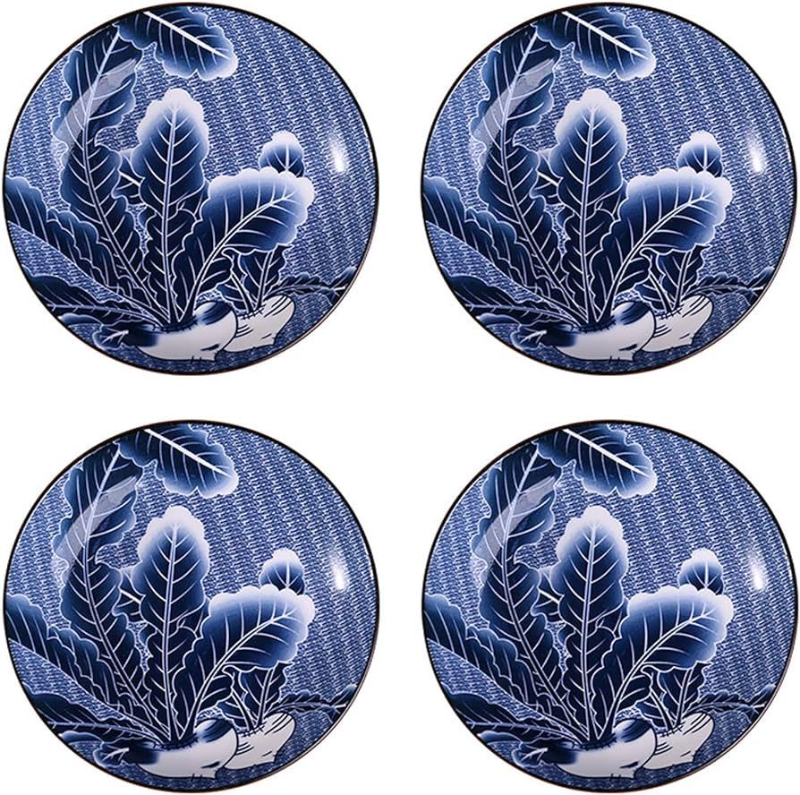 Gegong 4 Pack Blue and White Porcelain Dish Serving Plates Floral Dinner Shallow Plates Appetizer... | Amazon (US)