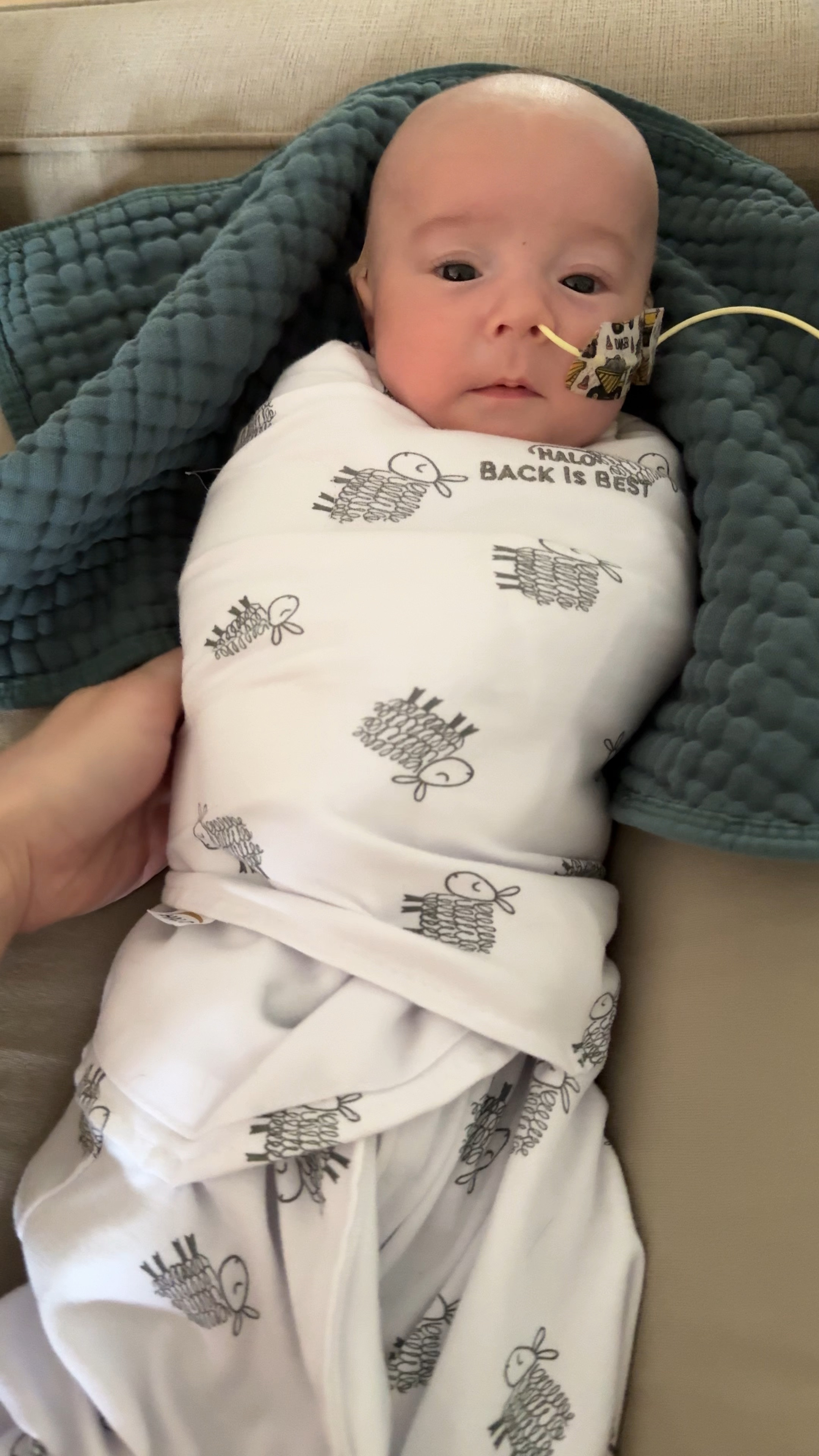 Award winning sleep swaddle can be used for arms in or arms out. Easy dual zipper access for middle of the night diaper changes. Great must haves on your baby registry 

#LTKbump #LTKbaby