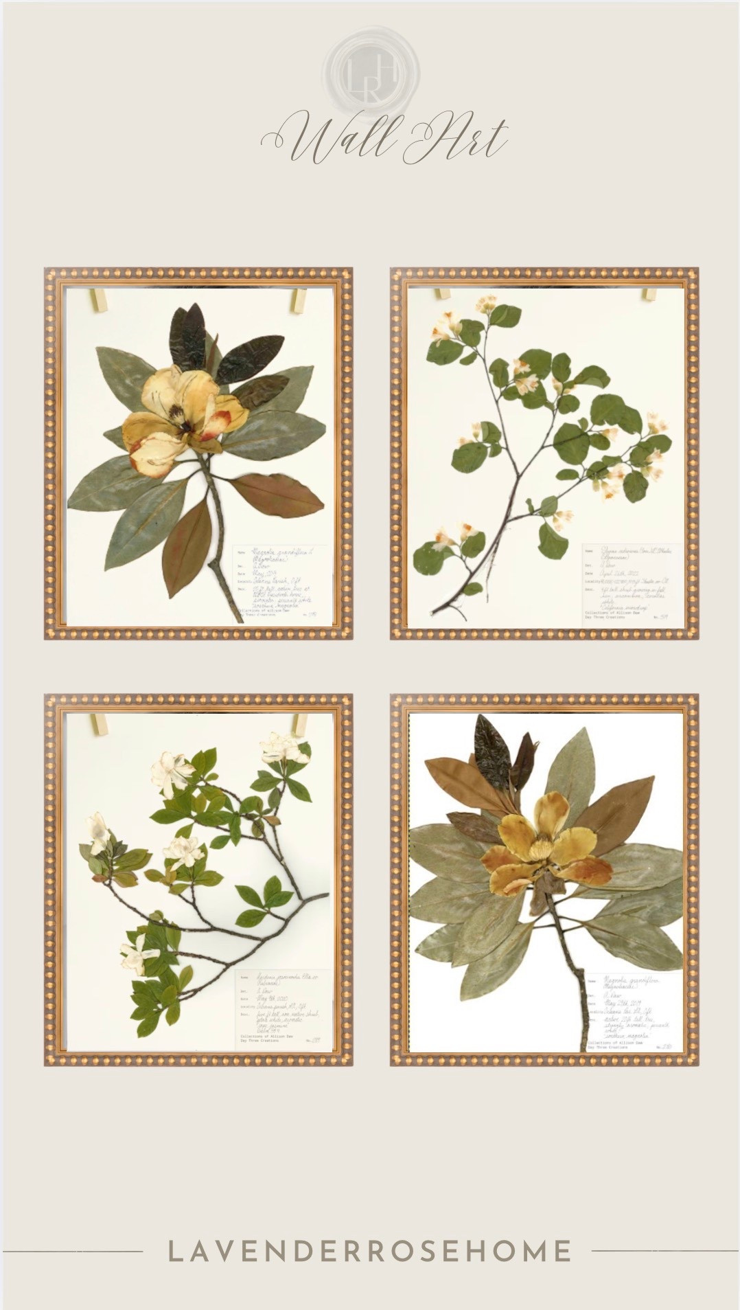 Botanical Art Prints. Wall Art. Entryway. Living Room. Hallway. Vintage look. Classic Home. Lavender Rose Home.

#LTKHome