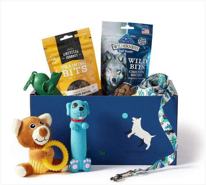 Goody Box Puppy Toys, Treats & Accessories | Chewy.com