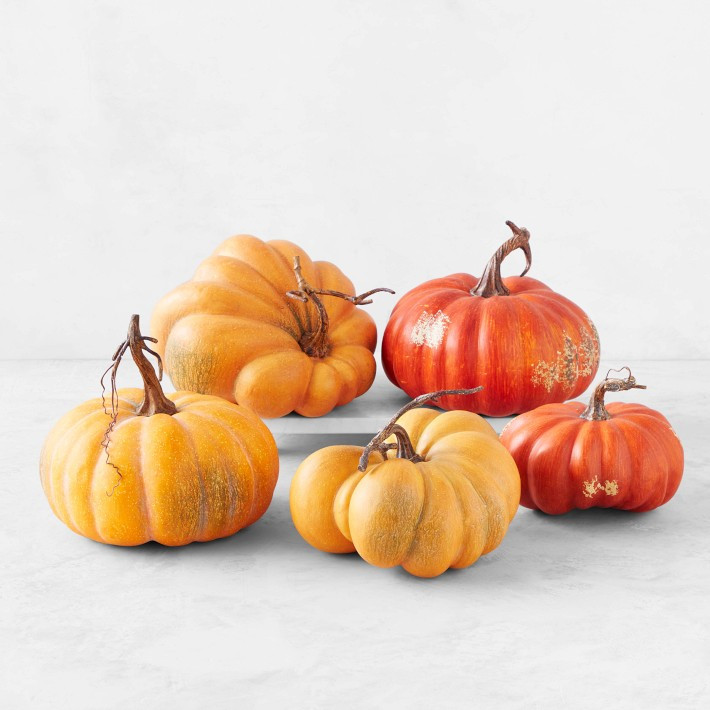 Kentucky Field Assorted Pumpkin Collection, Set of 5 | Williams-Sonoma