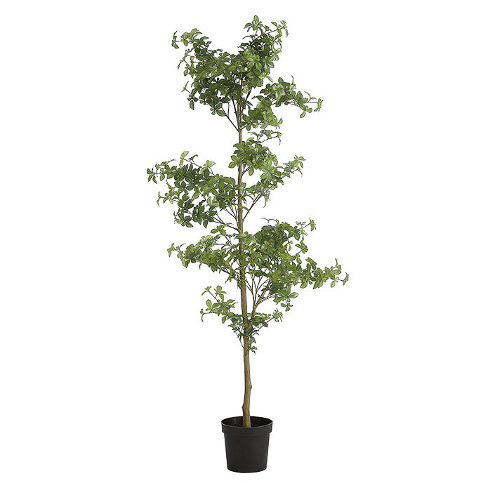 Faux Quince Tree | Ballard Designs, Inc.