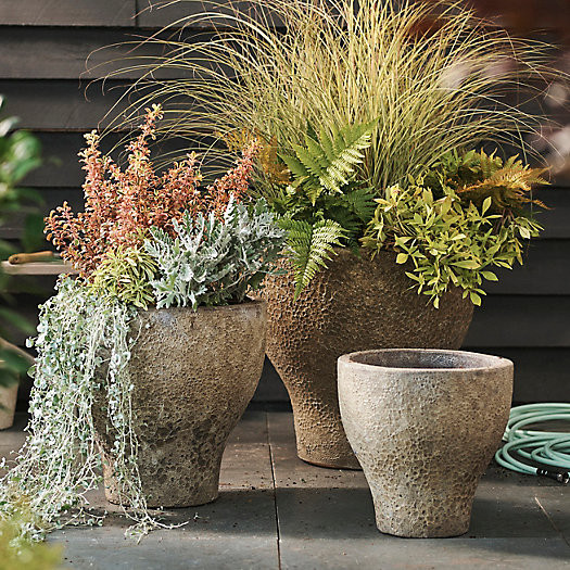 Barnacle Tulip Planter, 16" | Terrain