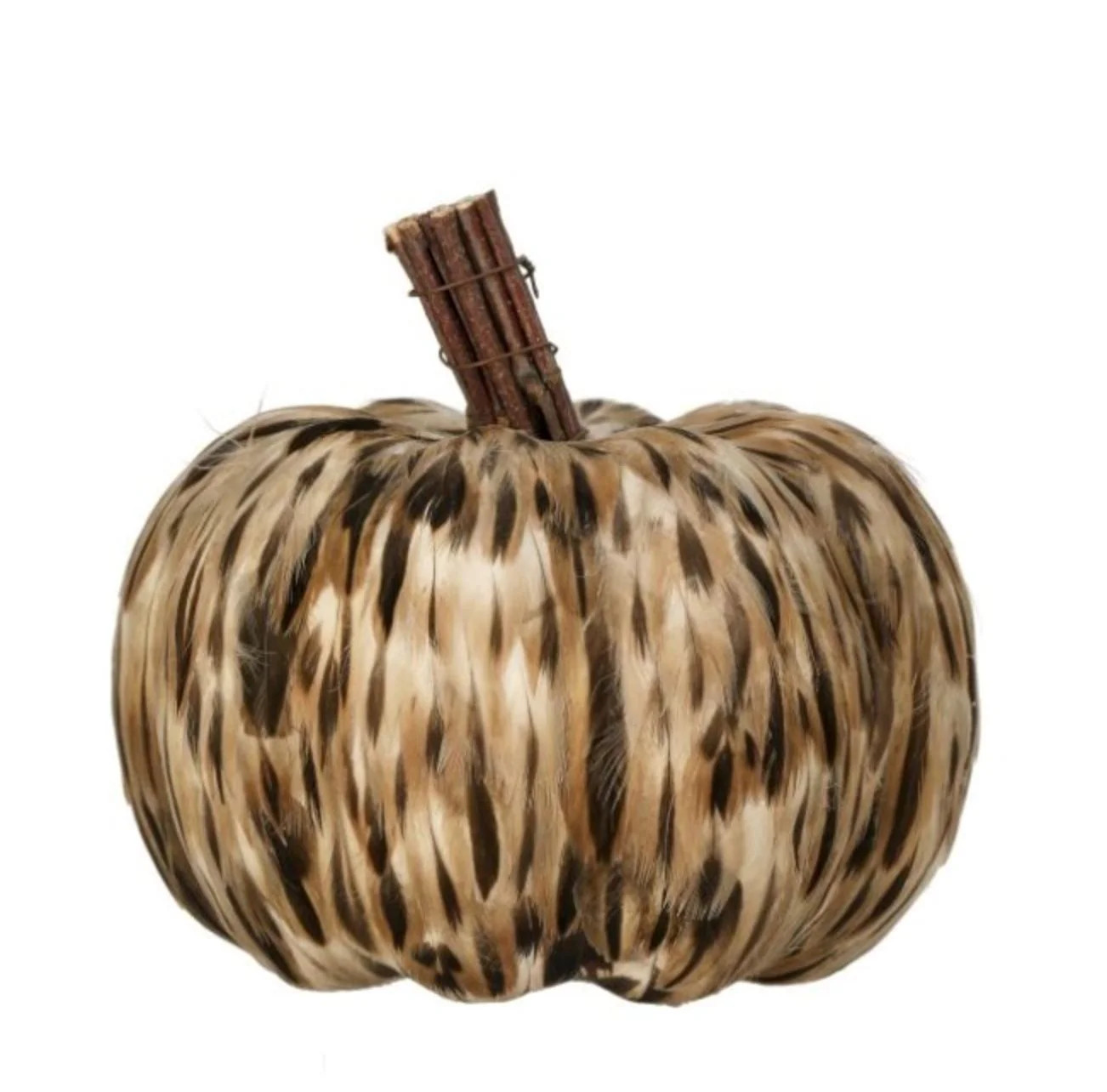 Feather Pumpkin - 5" | The Horseshoe Crab