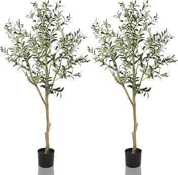 Visit the YOLEO Store | Amazon (UK)