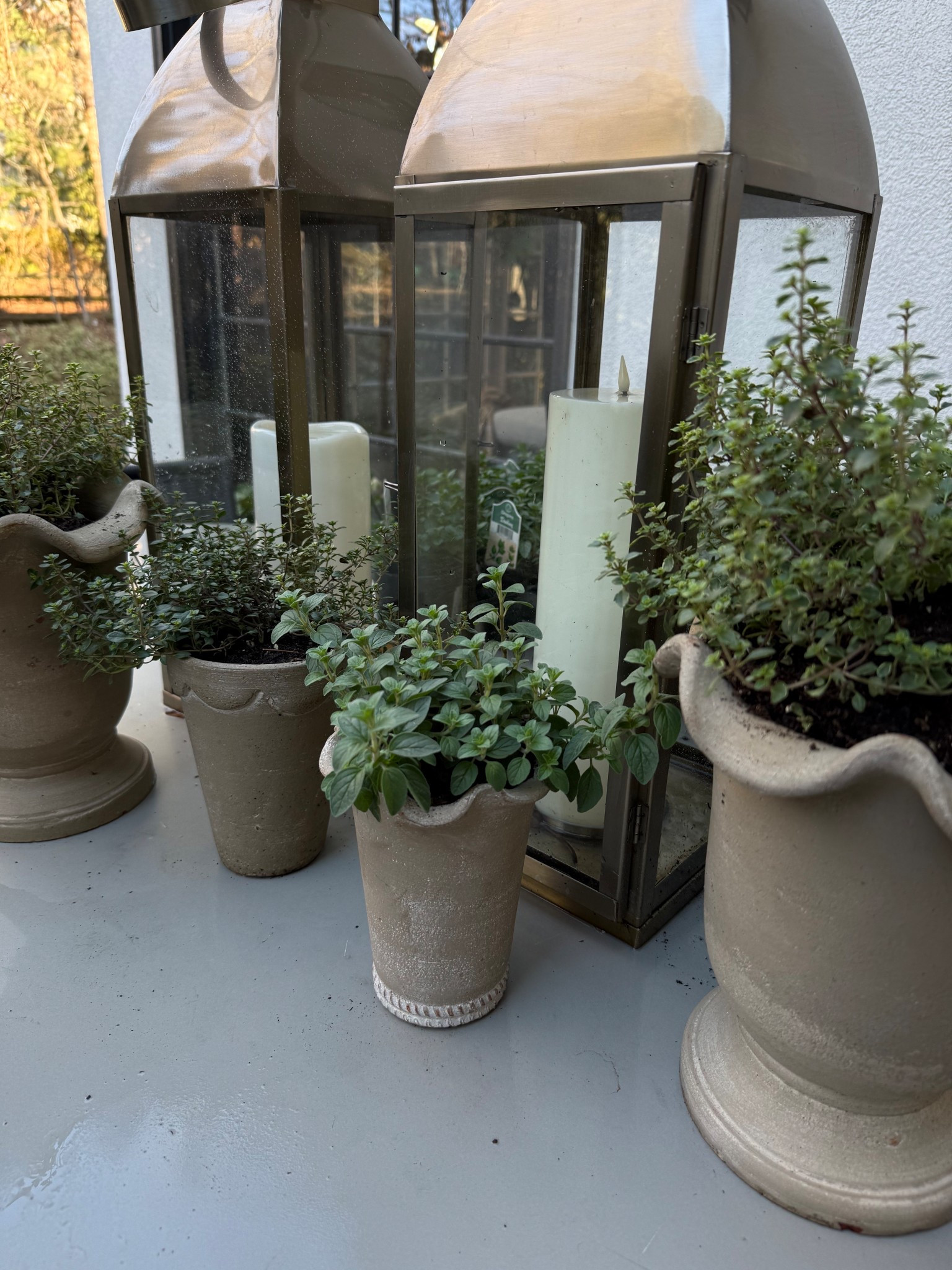 I adore scalloped planters! They feel so sweet and joyful!

#LTKSaleAlert #LTKSeasonal #LTKHome