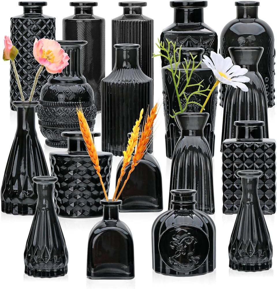 Brajttt Glass Bud Vase Set of 18,Glass Vintage Vases for Flowers,Black Bud Vases in Bulk for Rust... | Amazon (US)