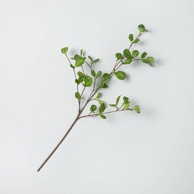 Faux Hazel Leaf Stem - Hearth & Hand™ with Magnolia | Target