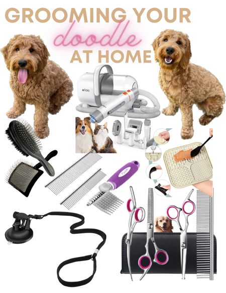 Everything you need for grooming your dog at home 

#LTKunder50 #LTKunder100 #LTKhome