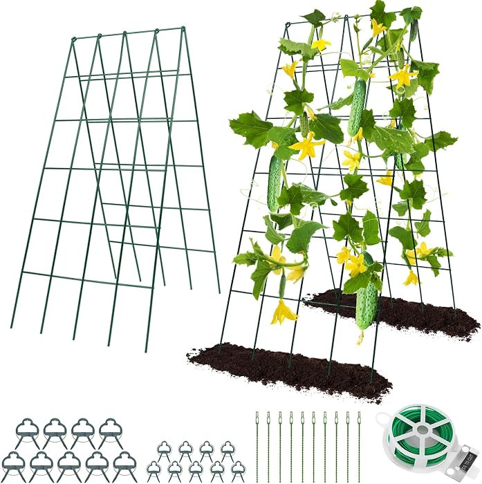 Amazon.com : Cucumber Trellis for Raised Bed, Rifny 16.5 x 40 Inch Metal Trellis for Climbing Pla... | Amazon (US)