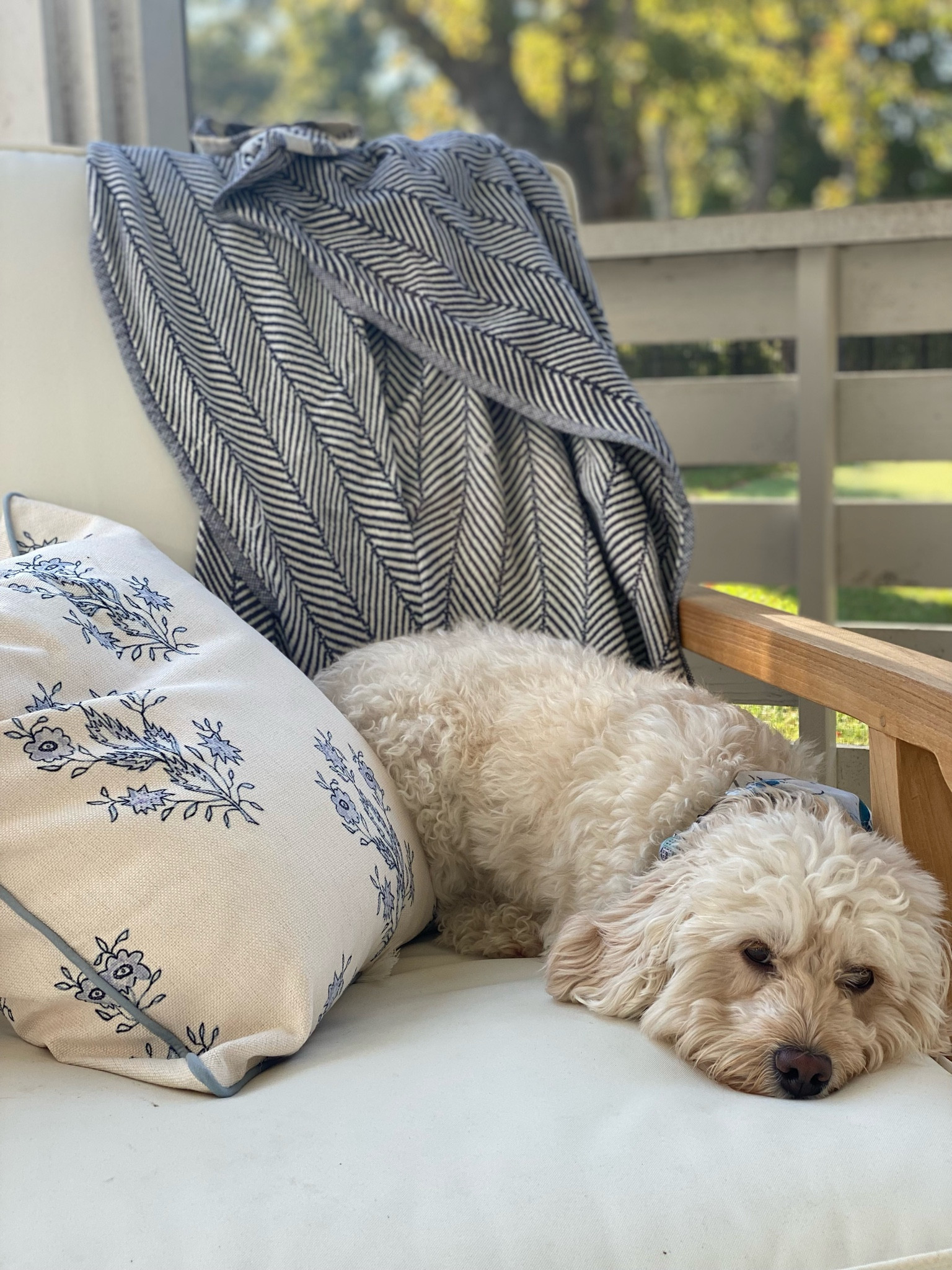 That Friday feeling 💙 And my favorite new pillow that’s only $35

#LTKFindsUnder50 #LTKHome