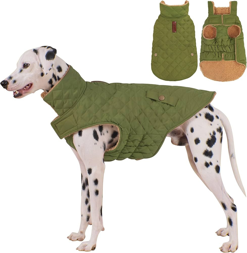 Dog Coat, Warm Windproof Dog Coats for Large Dogs Boy, Waterproof Pet Winter Jacket, Cold Weather... | Amazon (US)