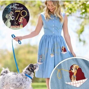 Disney Lady and The Tramp 70th Anniversary Belle Notte Chambray Dress | Poshmark